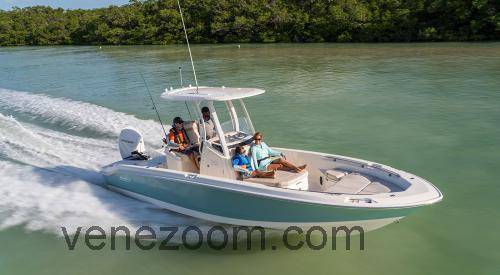 Boston Whaler 250 Dauntless Tekniset tiedot ja arvostelut